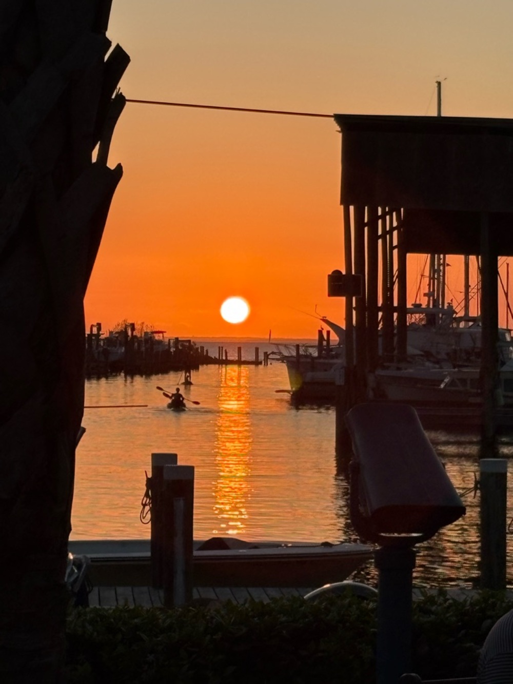 SUNSET POINTE April 2026 Sunset@ the Pointe❣️